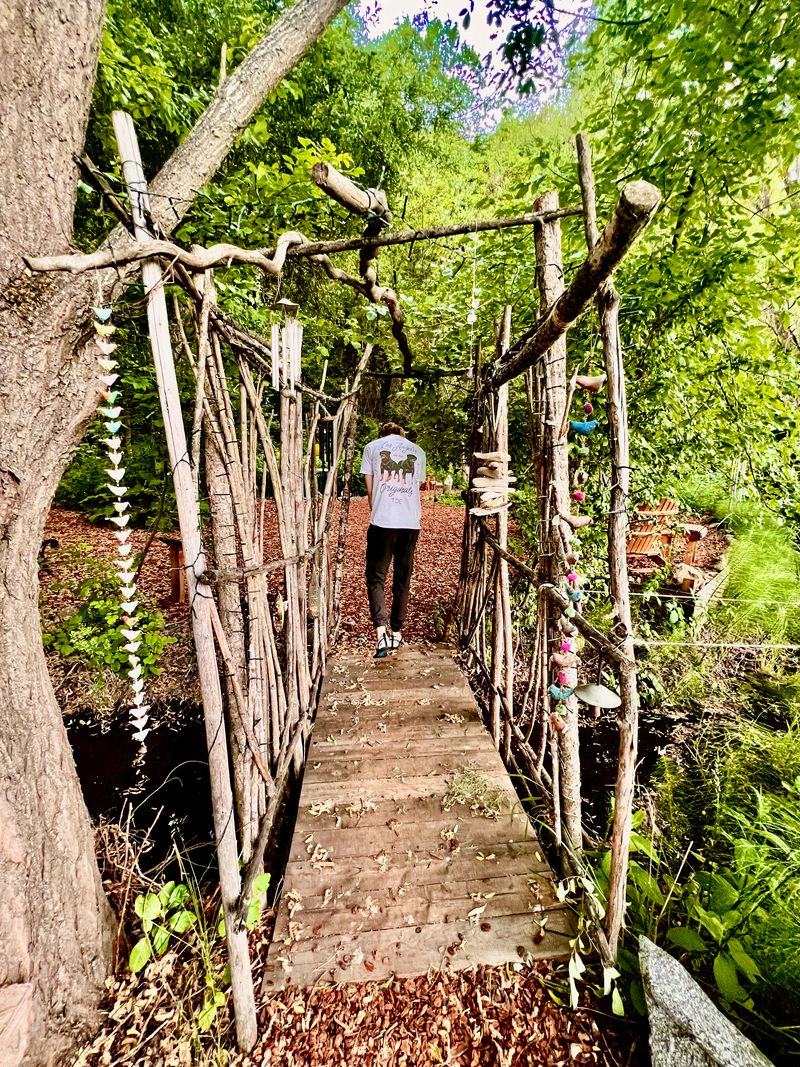 A portal made of sticks into a sacred grove, apparently; Tim checking it out.